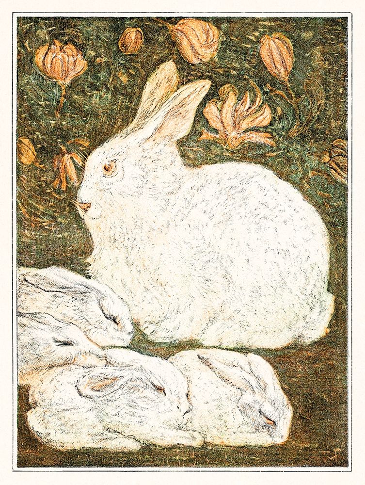 Rabbits