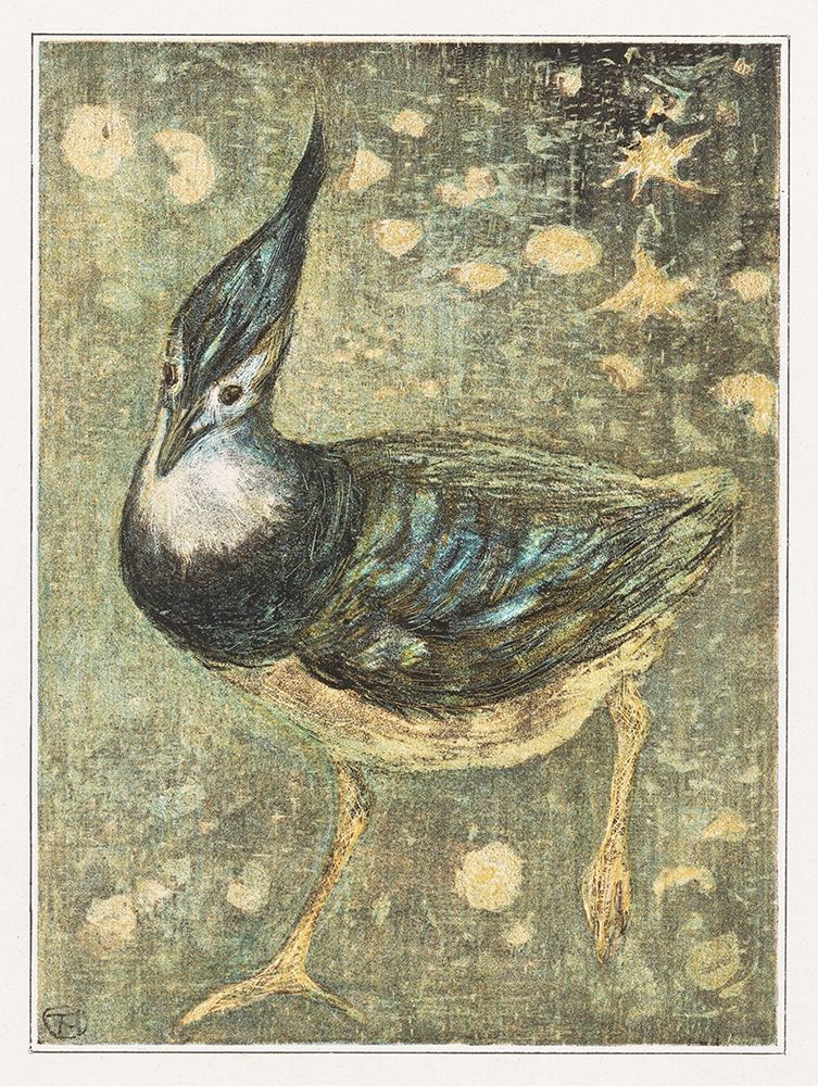 Lapwing