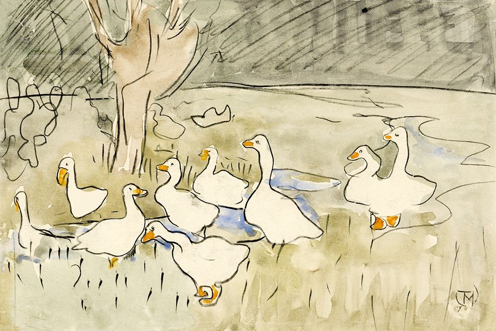 Ducks