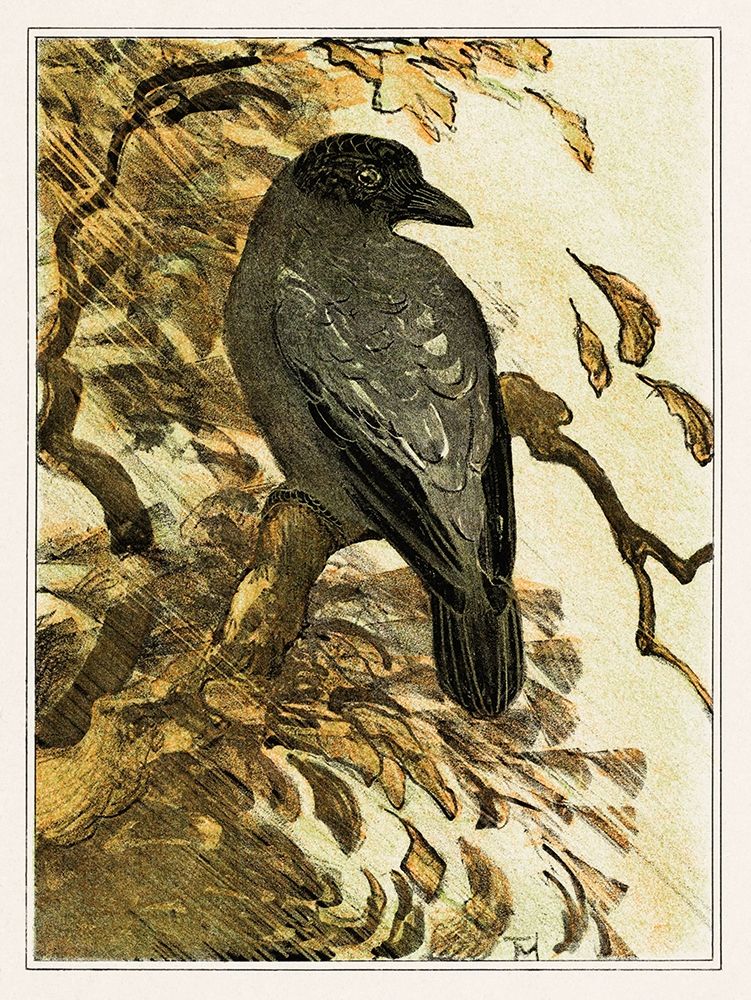 Hooded crow on branch