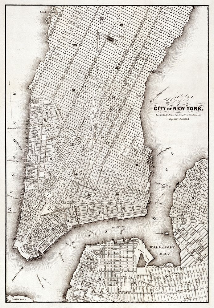 Map of the city of New York-1850