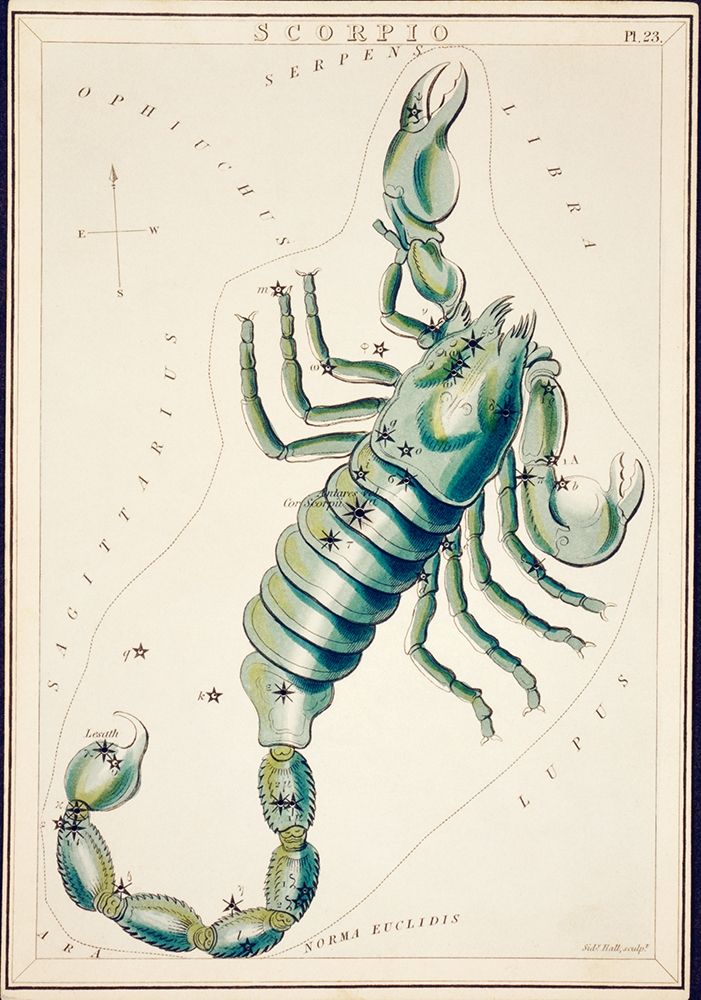 Astronomical chart illustration of the Scorpio