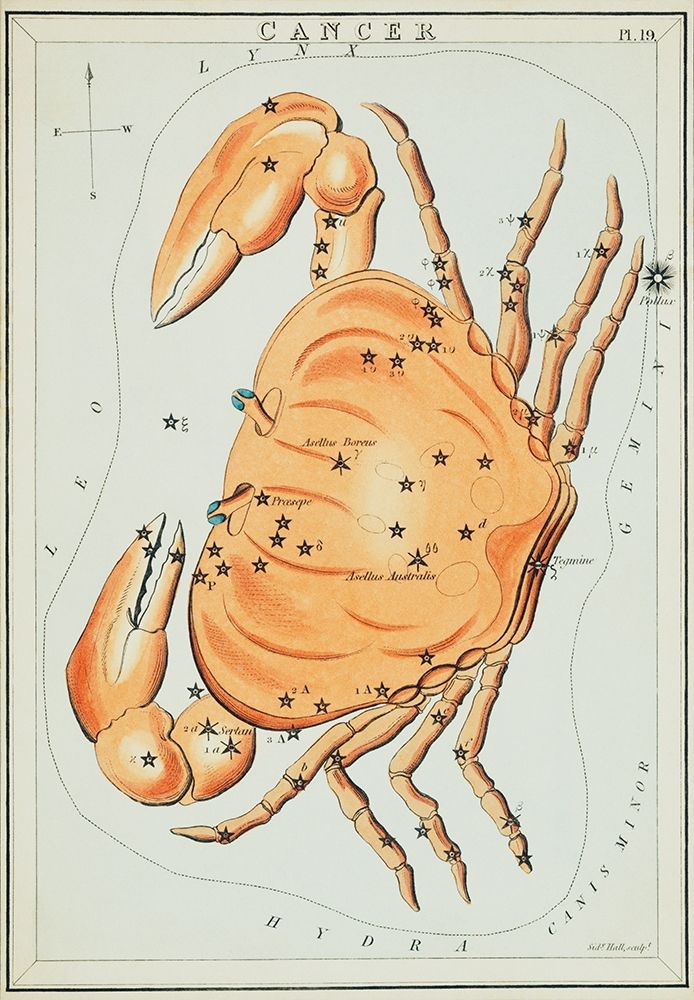Astronomical chart illustration of the cancer zodiac