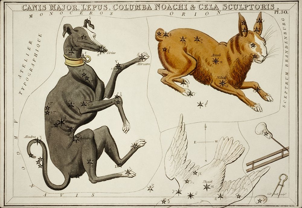 Astronomical chart illustration of the Canis Major-Lepus-Columba Noachi and the Cela Sculptoris