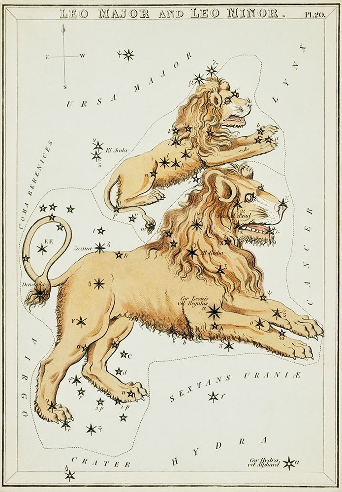 Astronomical chart illustration of the Leo Major and the Leo Minor