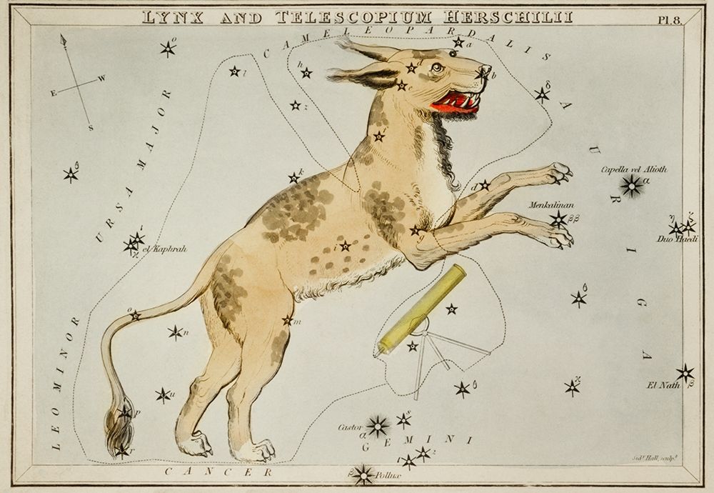 Astronomical chart illustration of Lynx and the Telescopium Herschilii