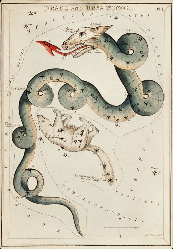 Astronomical chart illustration of the Draco and the Ursa Minor