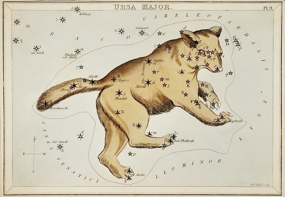 Astronomical chart illustration of the Ursa Major