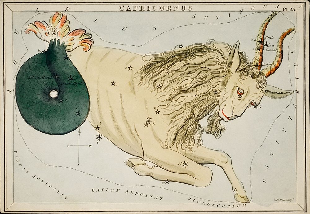 Astronomical chart illustration of the Zodiac Capricornus