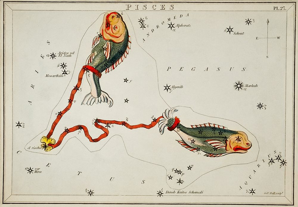 Astronomical chart illustration of the Pisces