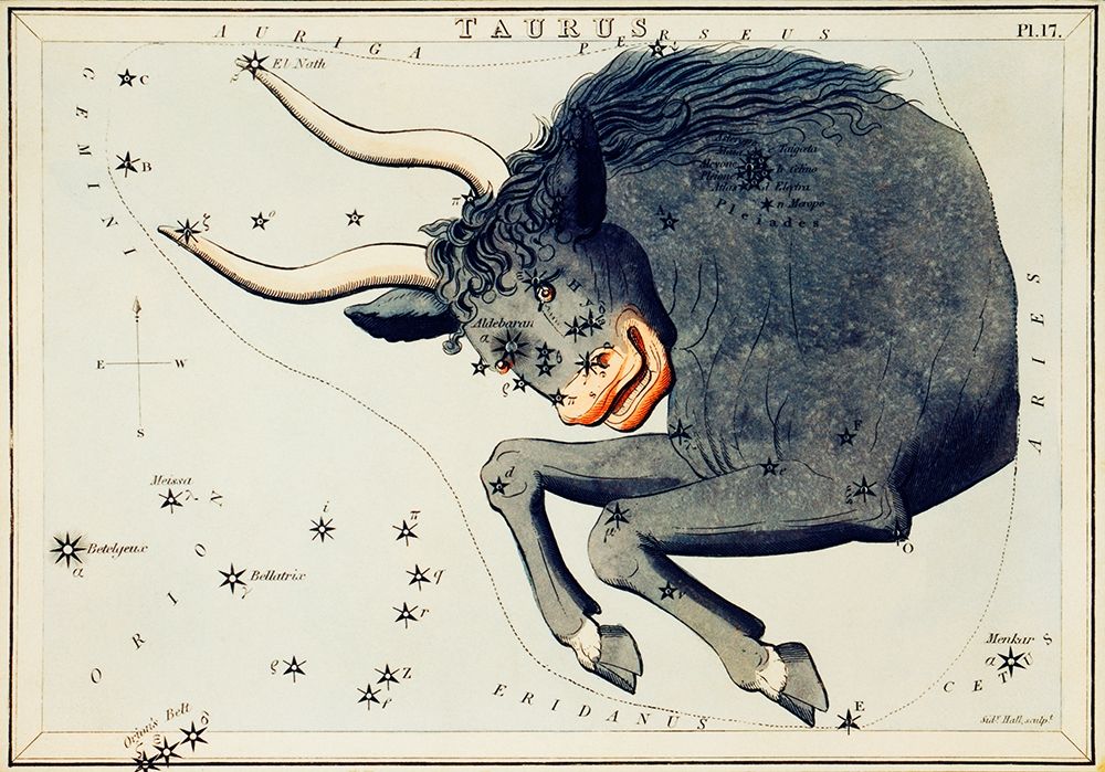 Astronomical chart illustration of the Taurus