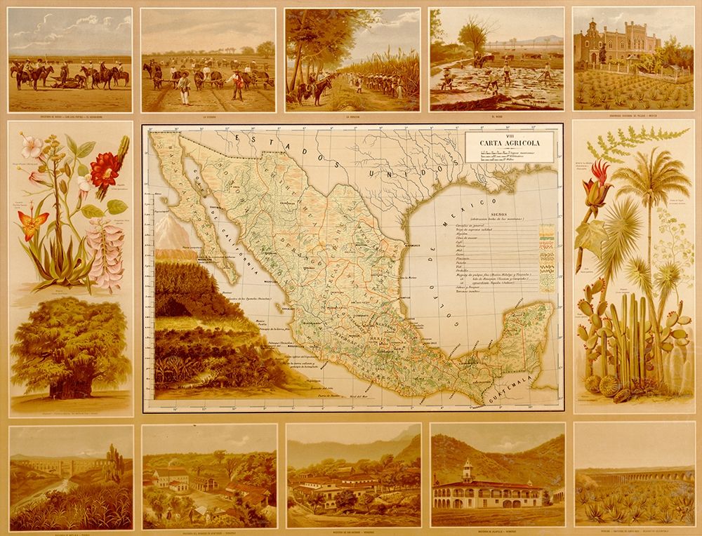Agricultural Map of Mexico