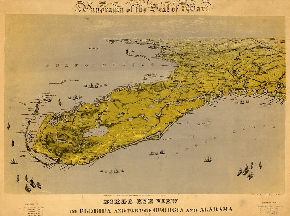 Birds eye view of Florida and part of Georgia and Alabama 1861