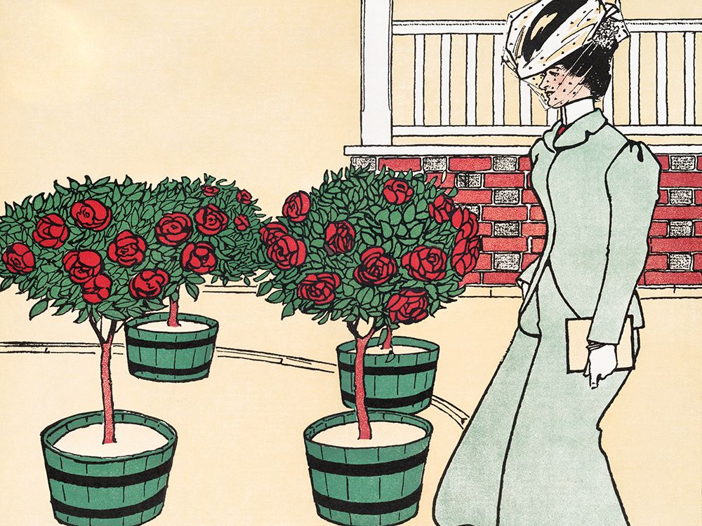 Woman in Rose Garden
