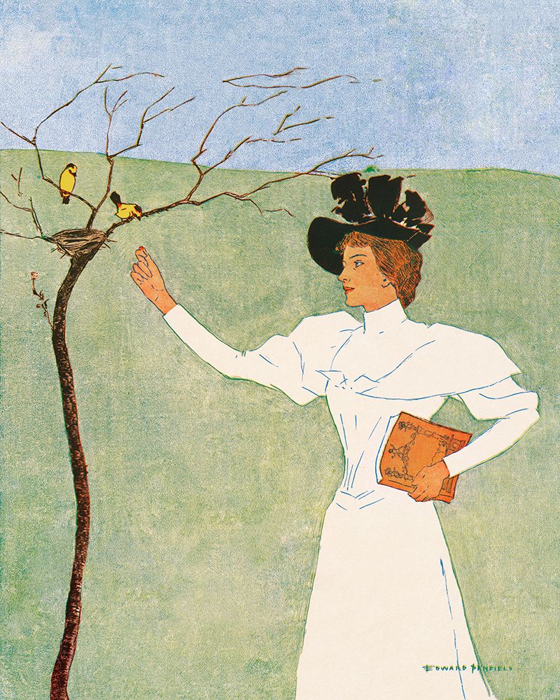 Woman Reaching for Birds