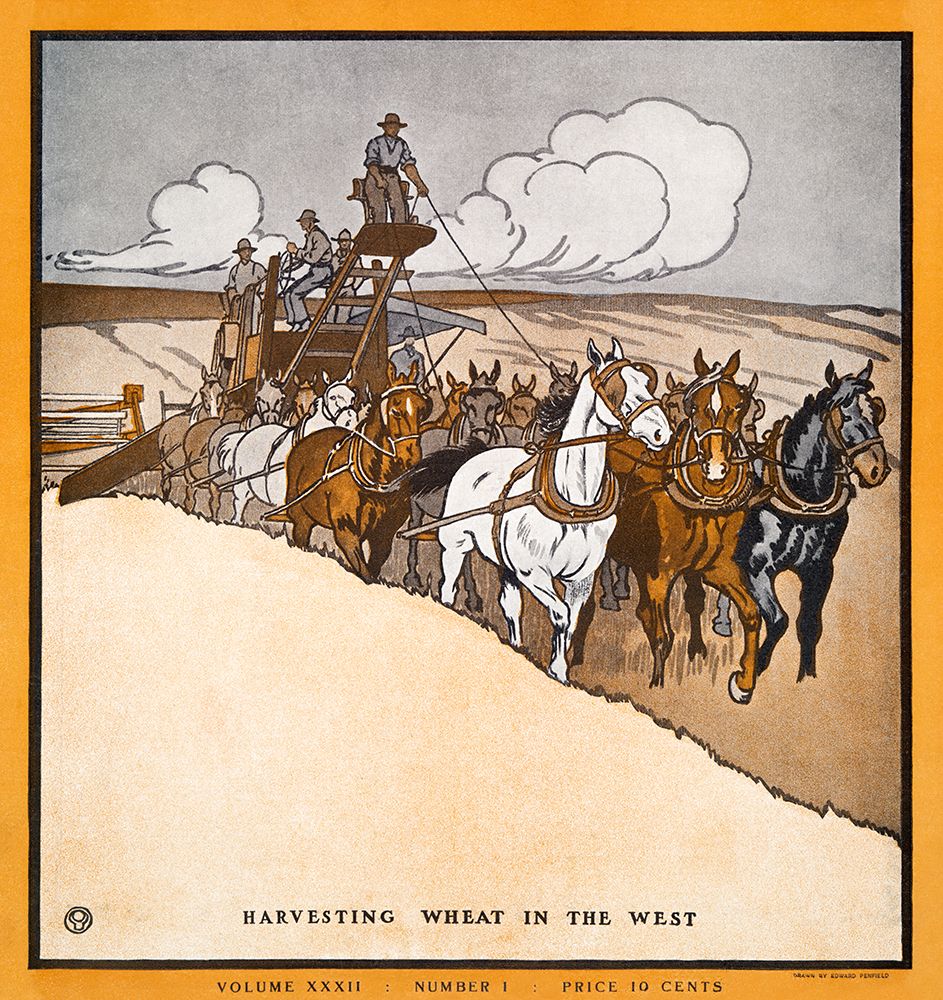 Harvesting Wheat in the West