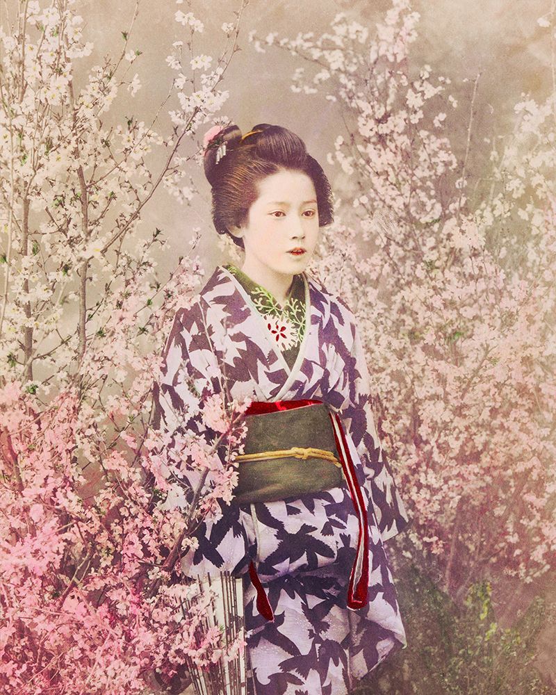 Geisha and Cherry Blossom