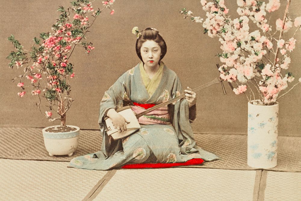 Geisha Playing Samisen