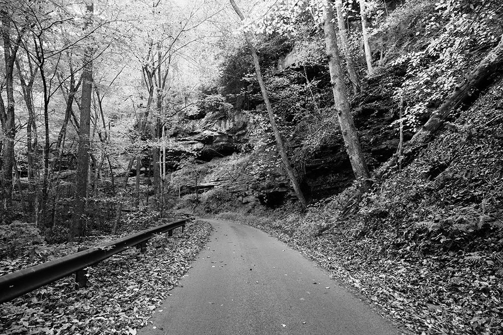 Picturesque road to Nuttallburg