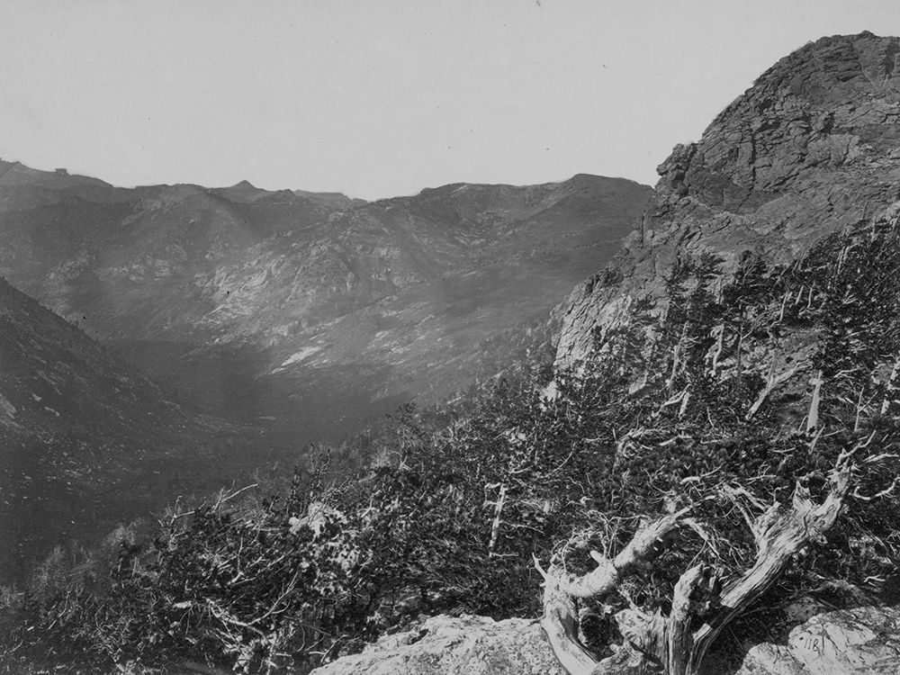 Summit-Humboldt Mountains-Nevada