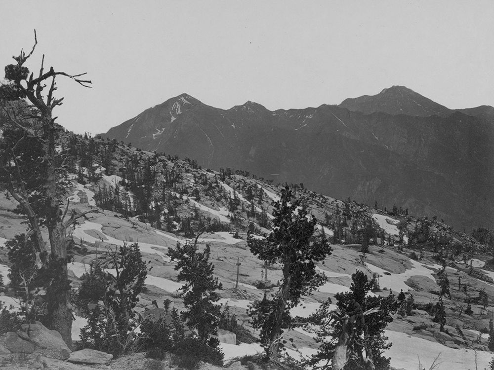 Summit Wahsatch Mountains-Utah