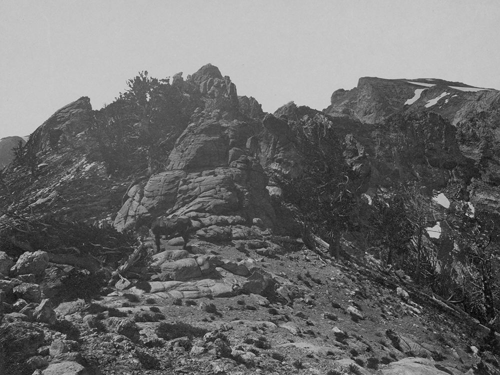 Summit-Humboldt Mountains-Nevada