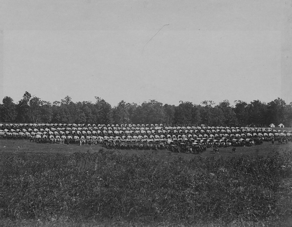 Wagon Park-Brandy Station-Virginia