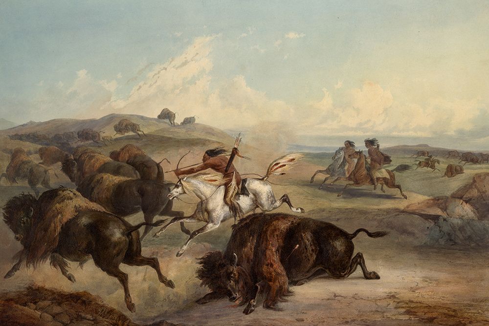 Indians hunting the bison