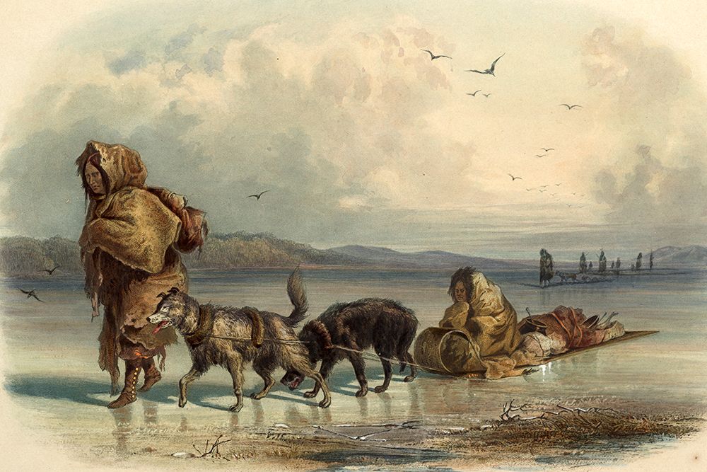 Dog sledges of the Mandan indians