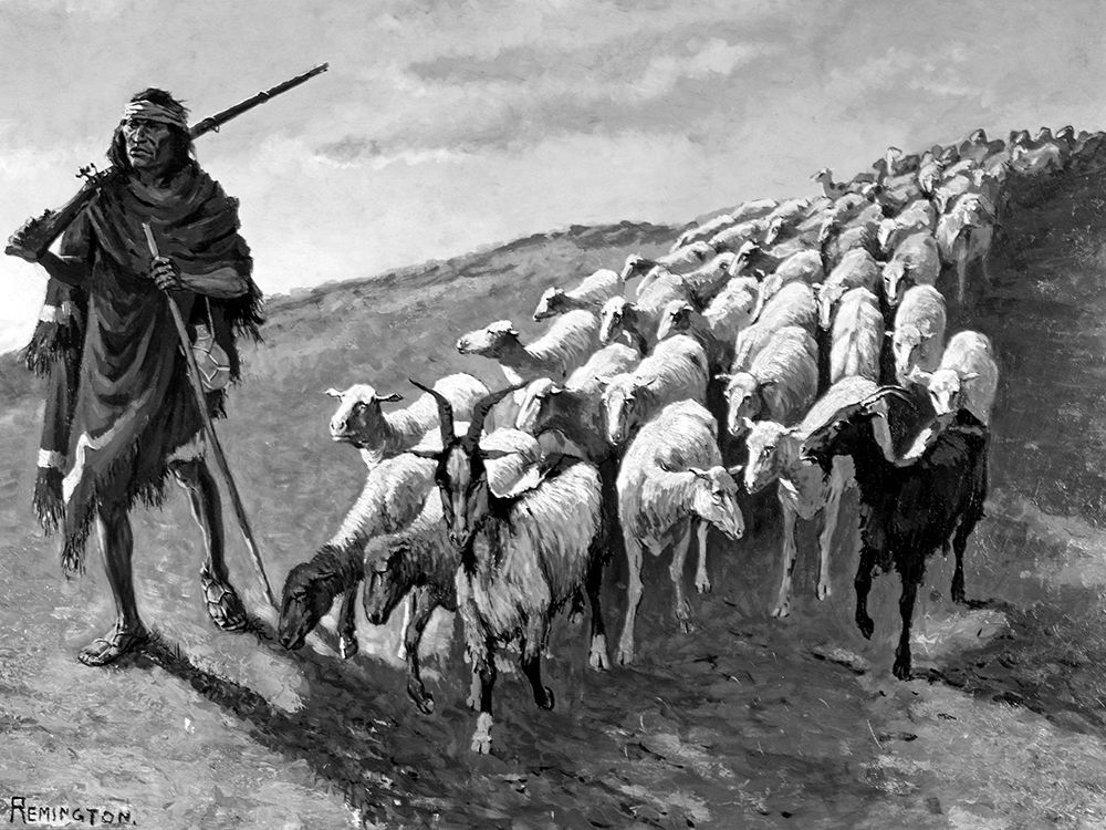Navajo Sheepherder
