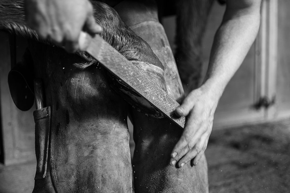 Hoof Work