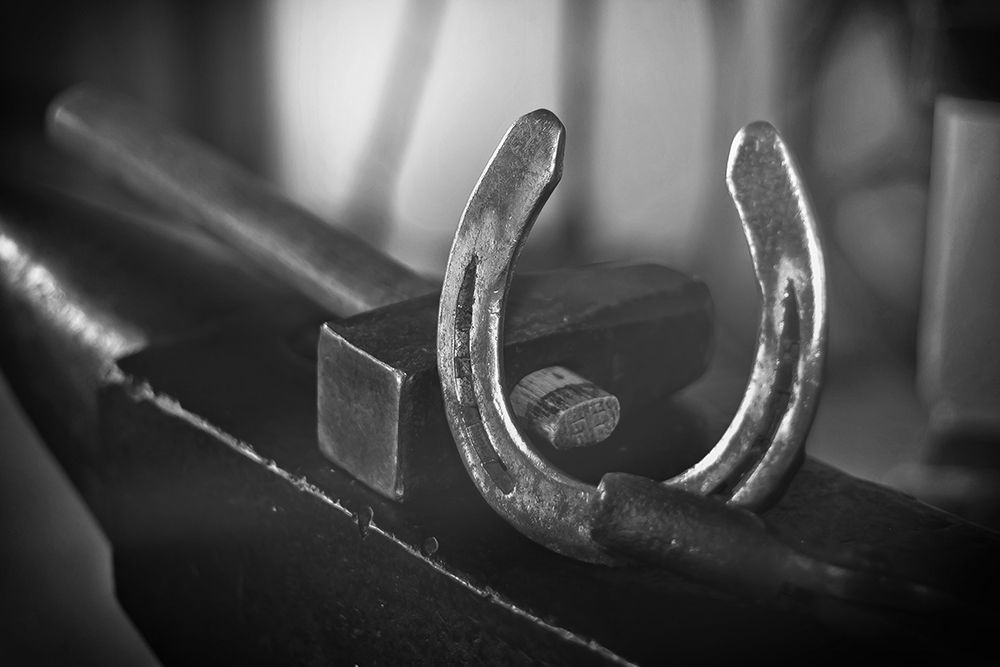 Horseshoe