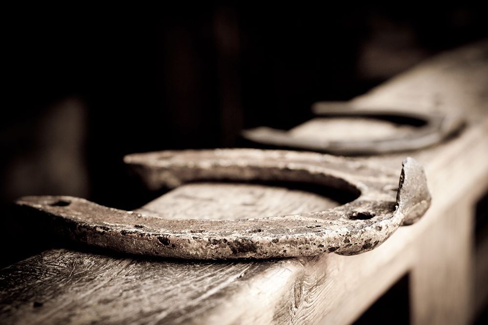 Horseshoes Sepia