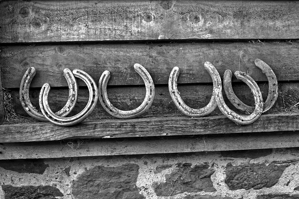 Horseshoes