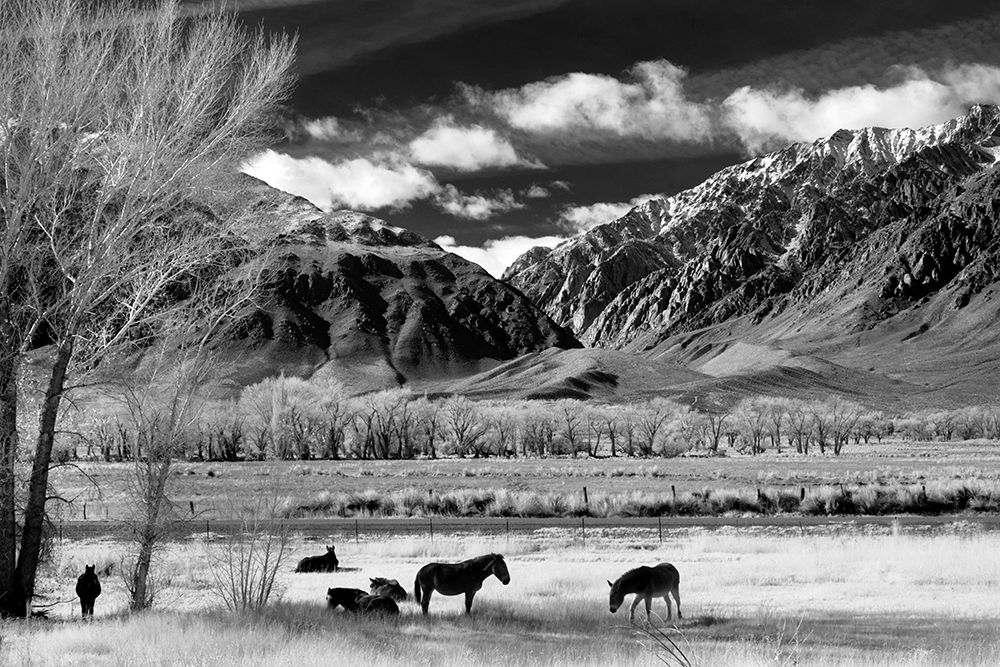 In the Shadow of the Mountain Range