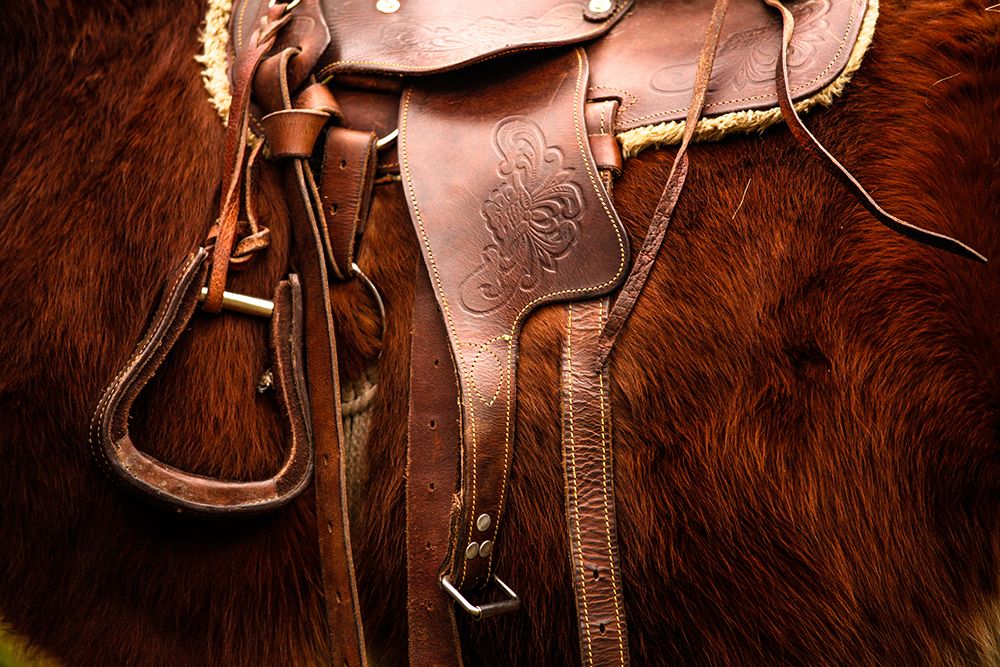 Saddled