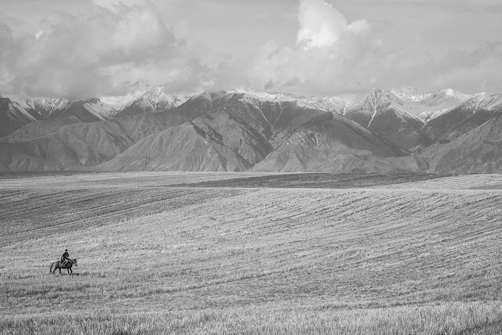 The Open Range