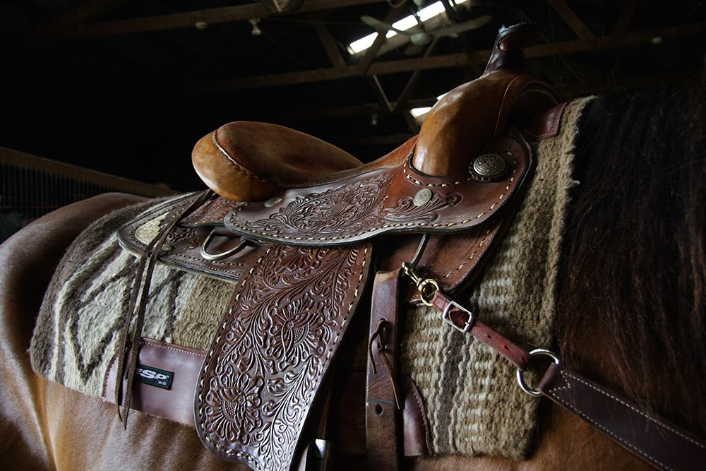 Western saddle