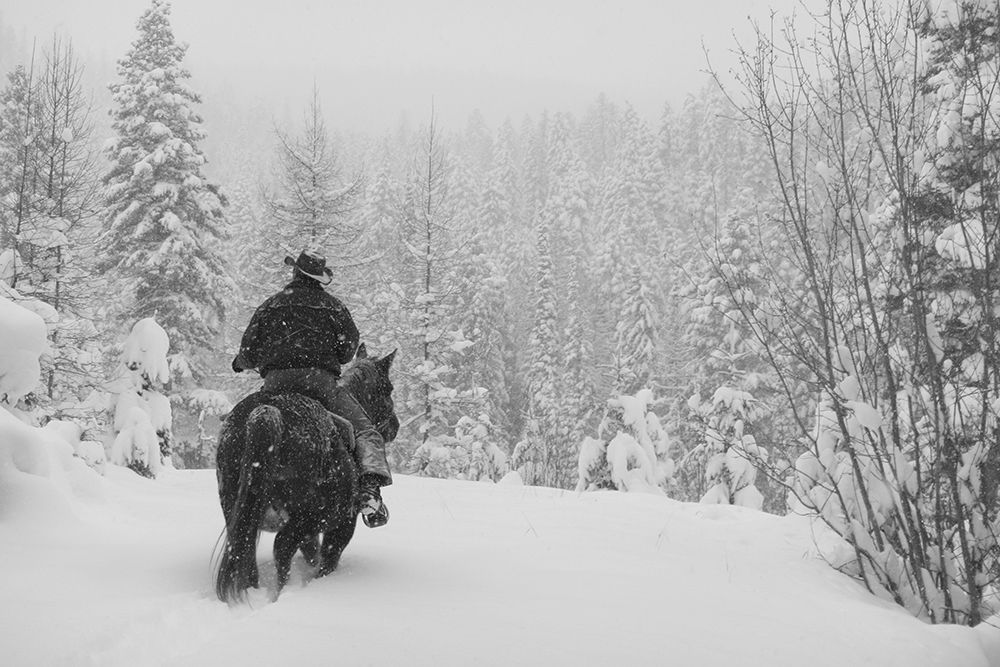 Flathead National Forest, Montana