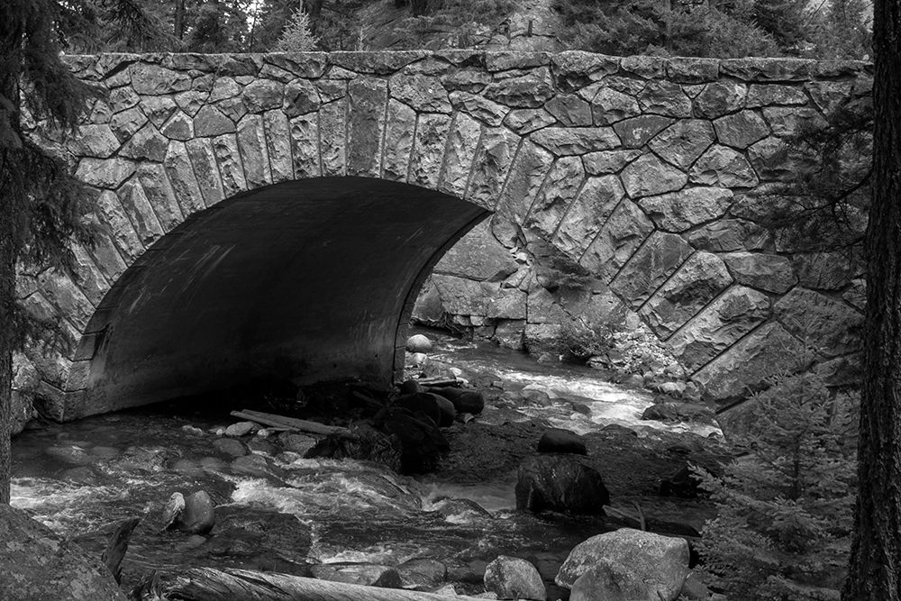 Bridge over Tower Creek, Yellowstone National Park