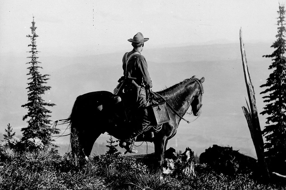 Back Country