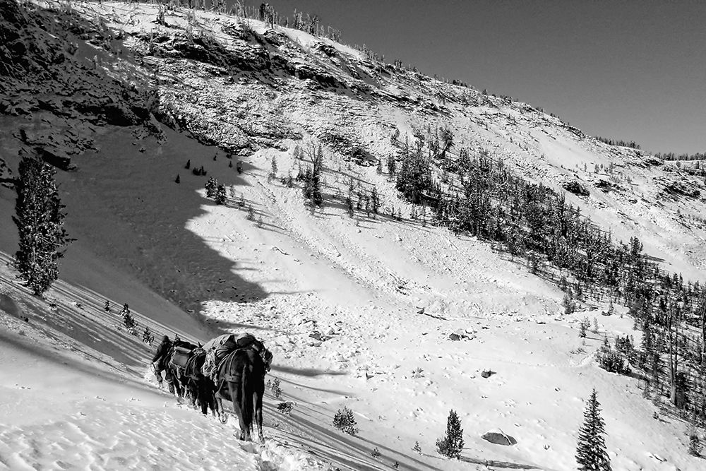 Cougar Basin Payette