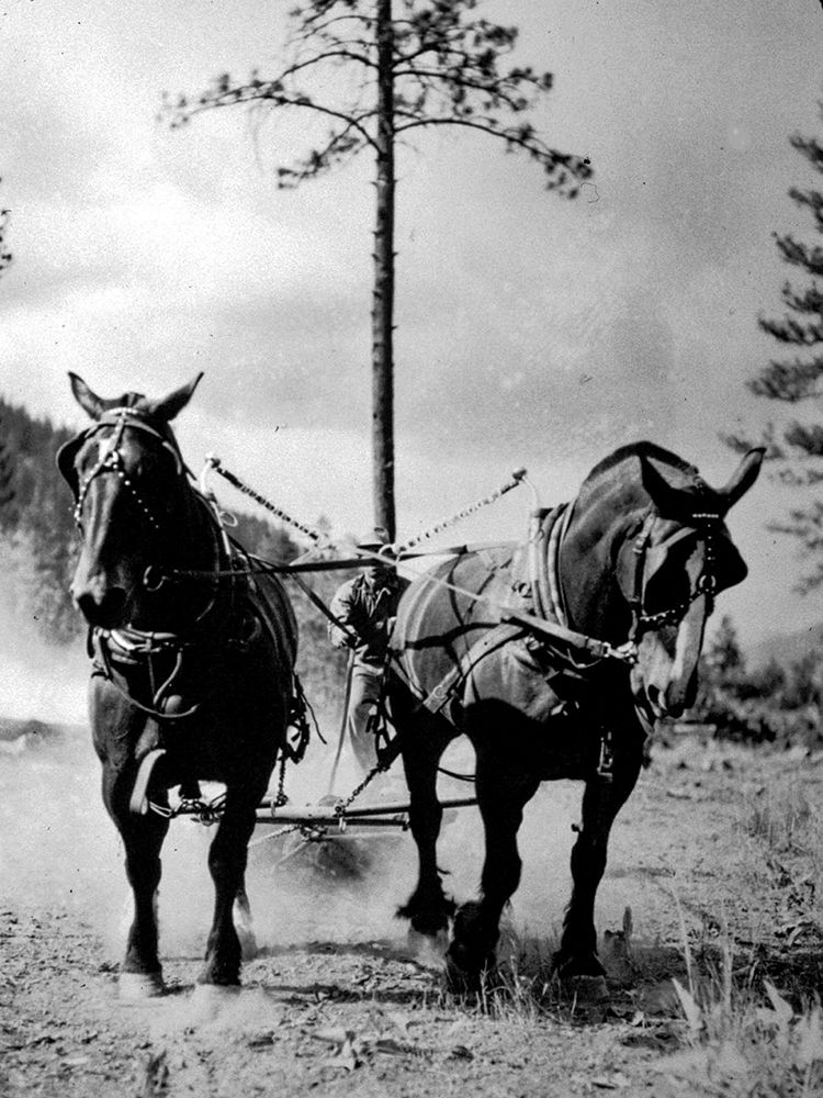 Eight Mile Fire Team