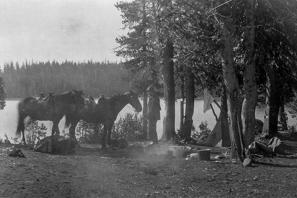 Forester in Camp with Horses