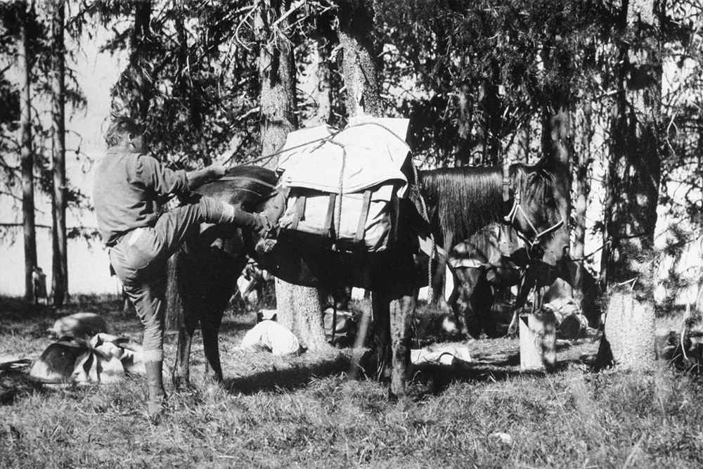 Mule Packing