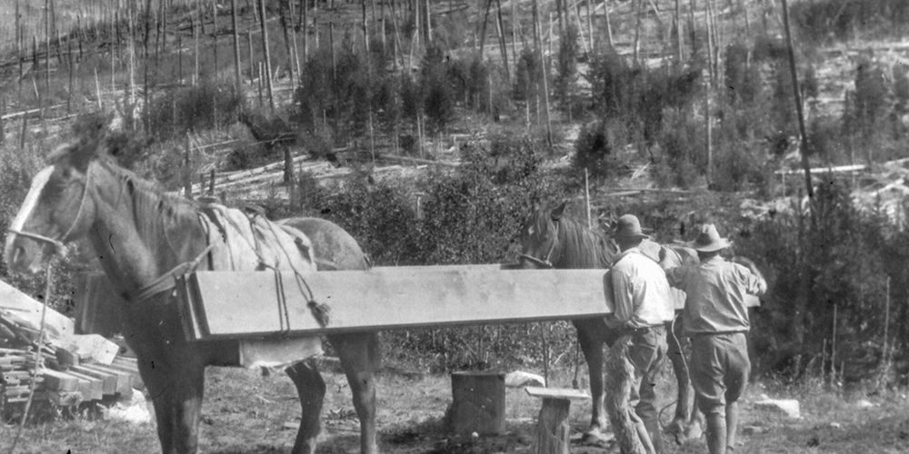Packing Lumber