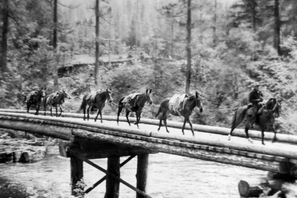 Umpqua National Forest