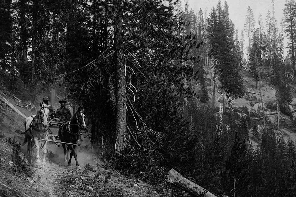 Wagon on Trail from Diamond Lake