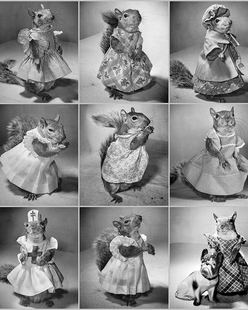 Tommy Tucker the Pet Squirrel 1944