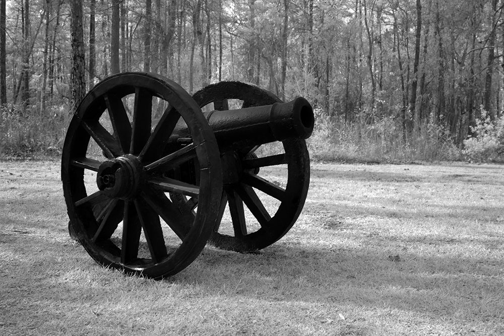 A Vintage Cannon in Alabama